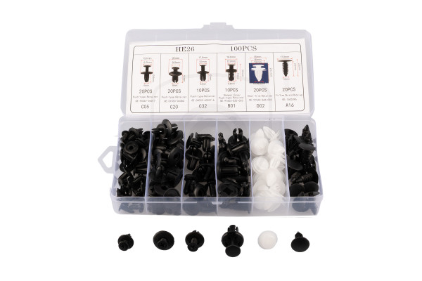 Set clips voor bekleding en carrosserie van de auto – 100 st.